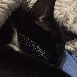 Meet your Posher, Rosa